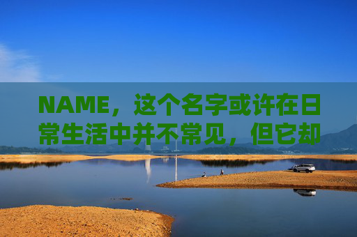 NAME,这个名字或许在日常生活中并不常见,但它却在某些领域里扮演着重要的角色。今天,让我们一起来探索这个名字背后的故事和意义